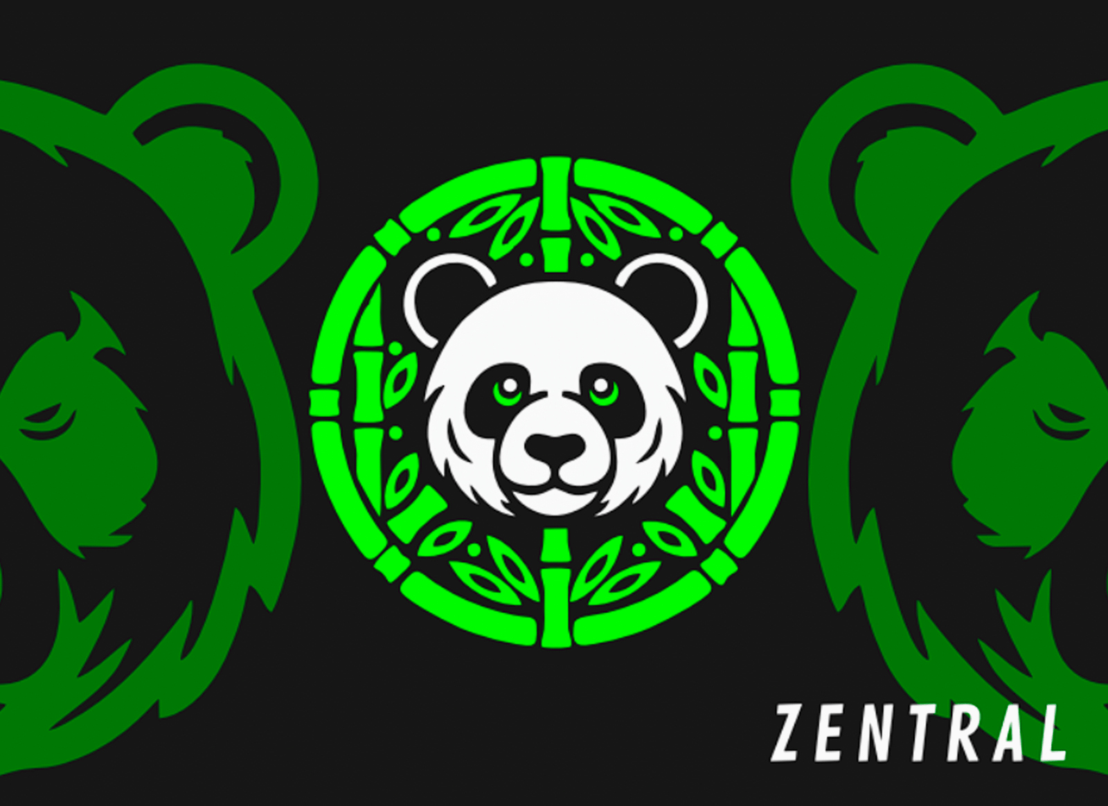 BAMBU FC ALTERNATIVA - Imagen 5