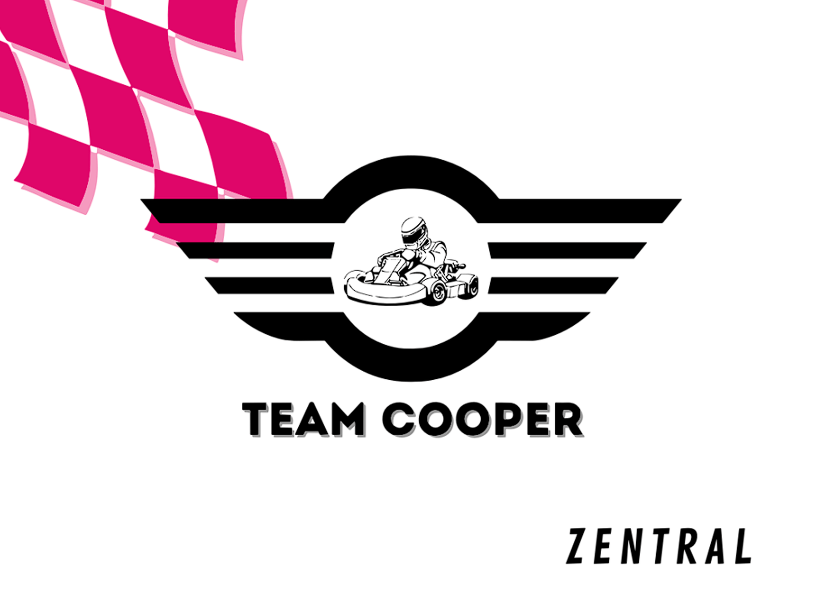 COOPER TEAM - Imagen 4