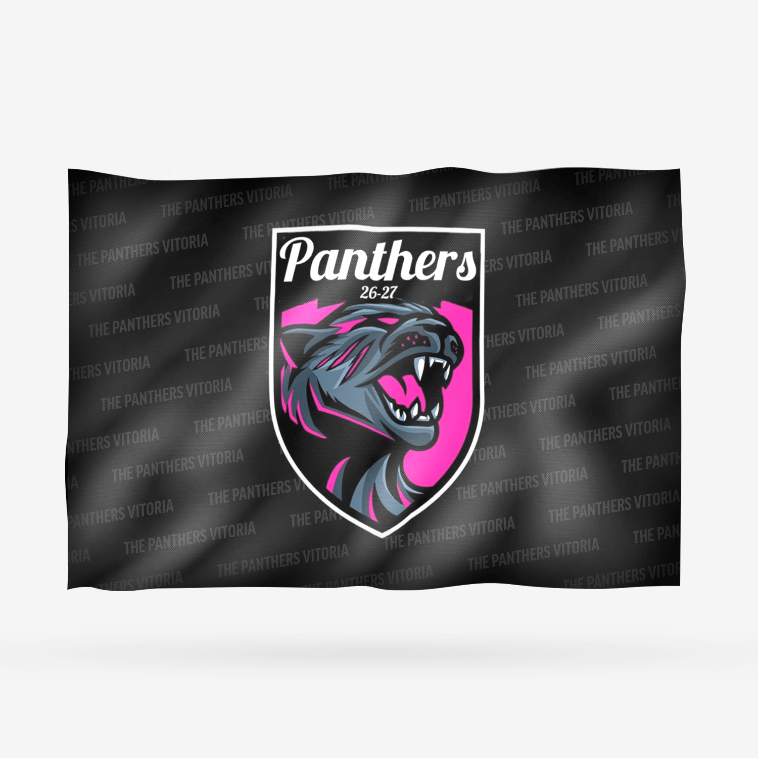 THE PANTHERS VITORIA - Imagen 11