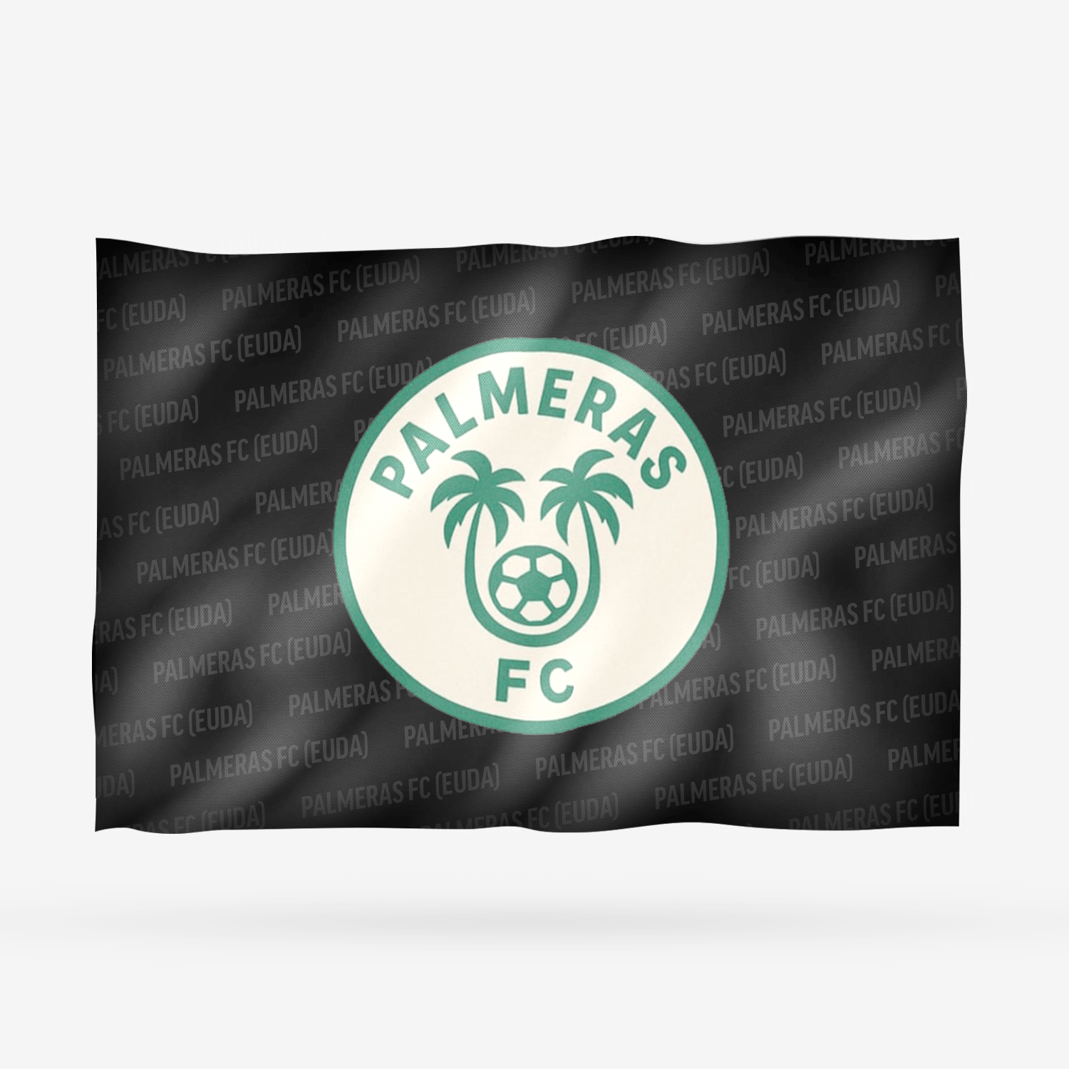PALMERAS FC (EUDA) - Imagen 8