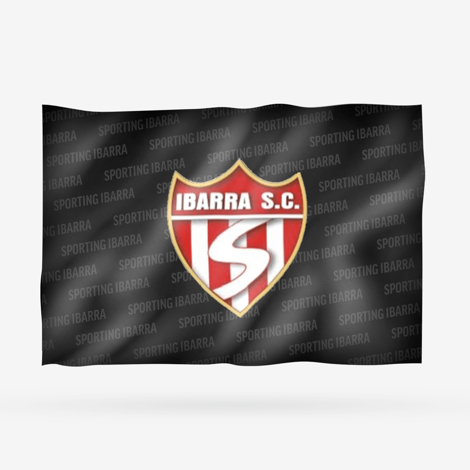 SPORTING IBARRA - Imagen 8