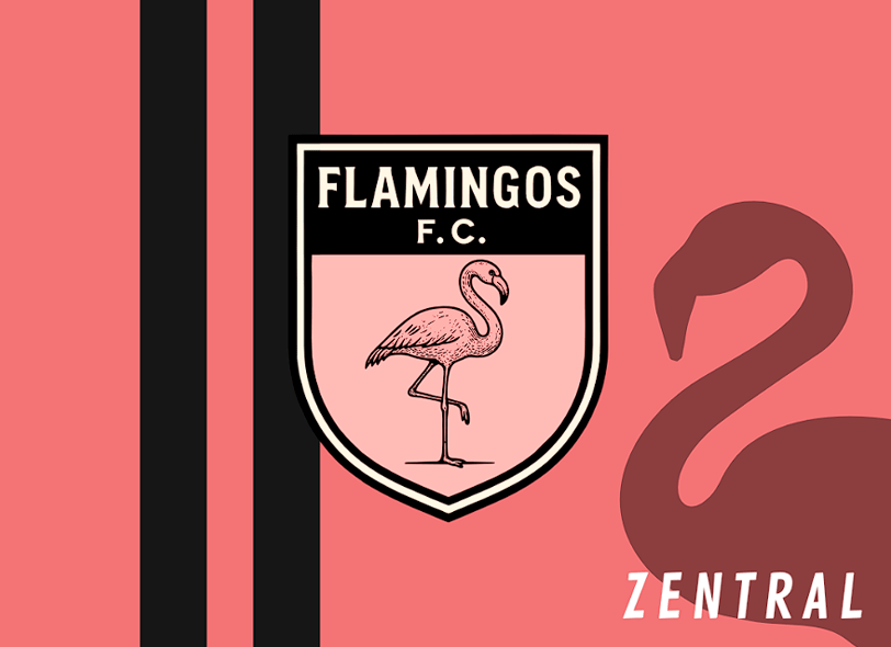 FLAMINGOS C.F. - Imagen 6