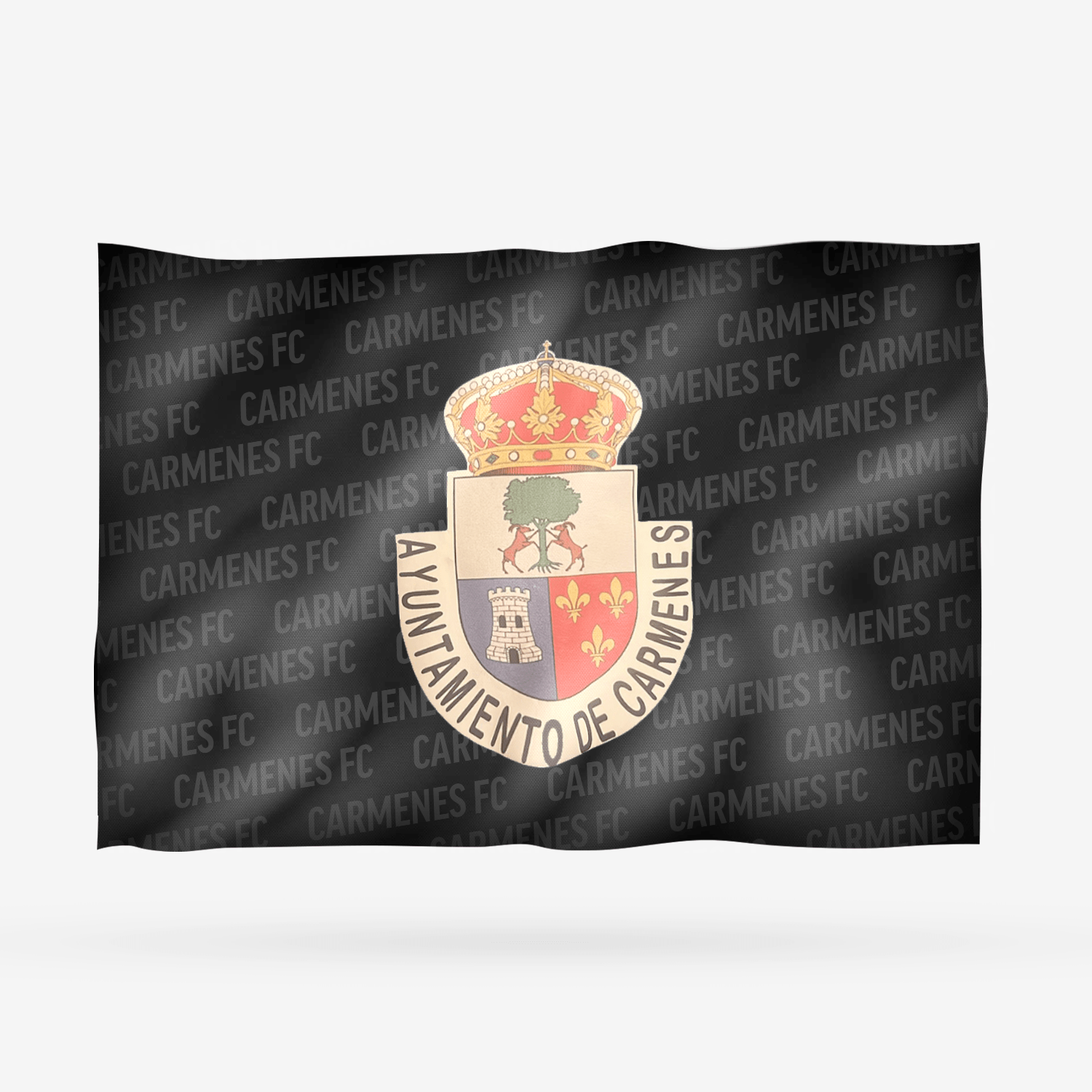 CARMENES FC - Imagen 11