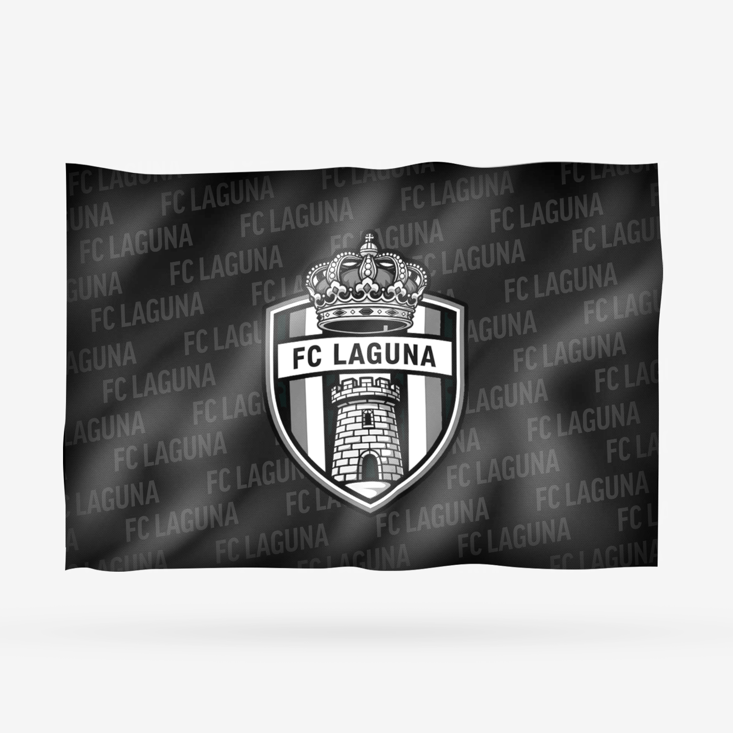 FC LAGUNA - Imagen 8