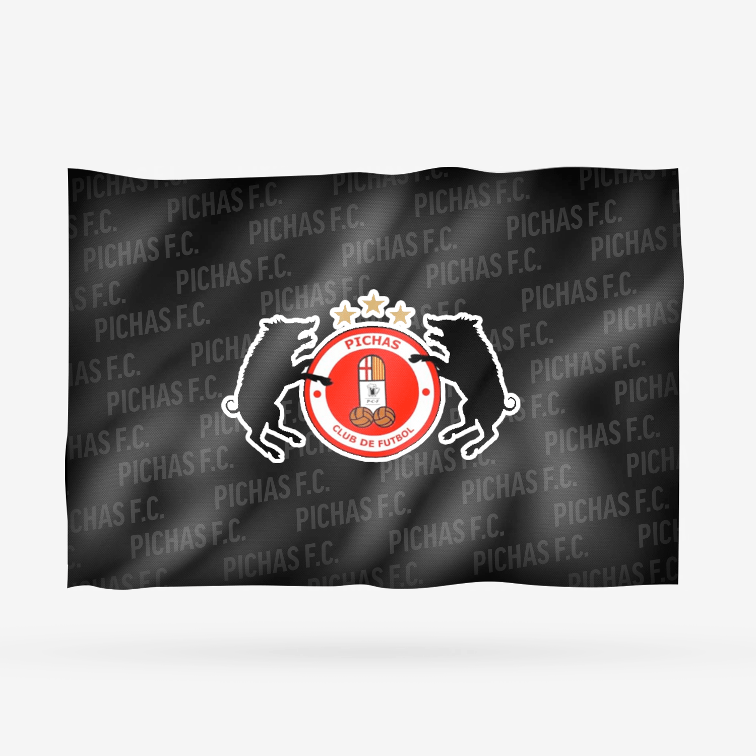 PICHAS F.C. - Imagen 15