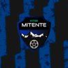 INTERMITENTE FS DE COLLADO - Imagen 8