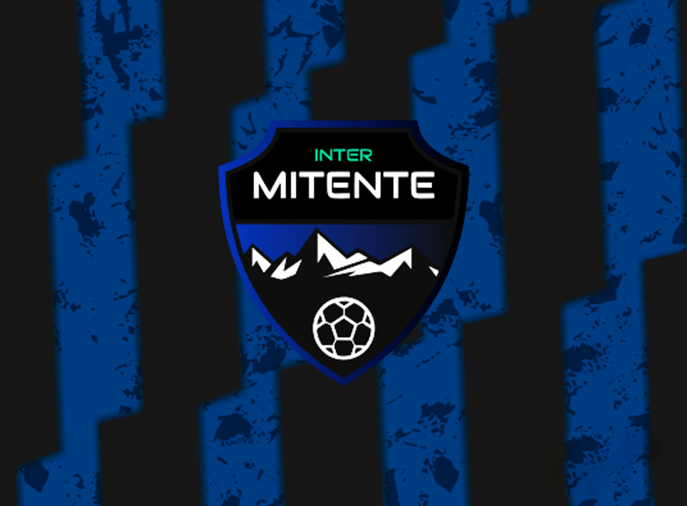 INTERMITENTE FS DE COLLADO - Imagen 8