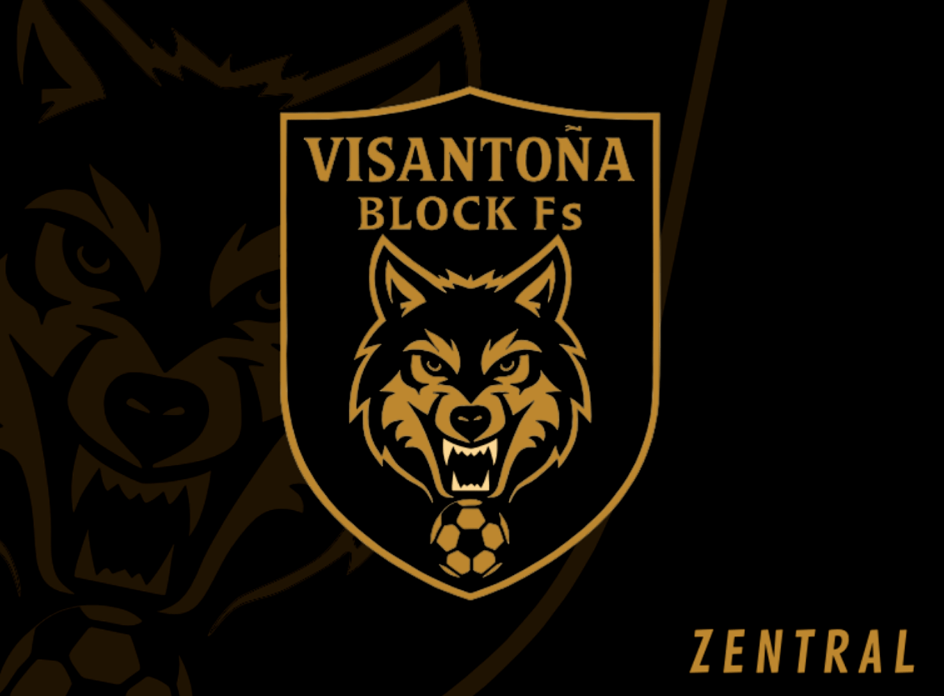 VISANTOÑA BLOCK FS - Imagen 7