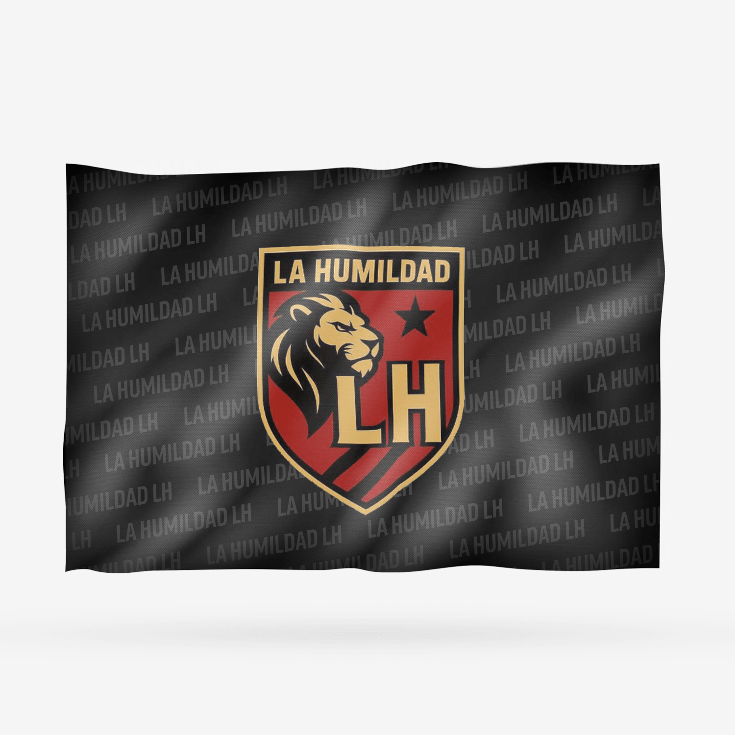 LA HUMILDAD LH - Imagen 12