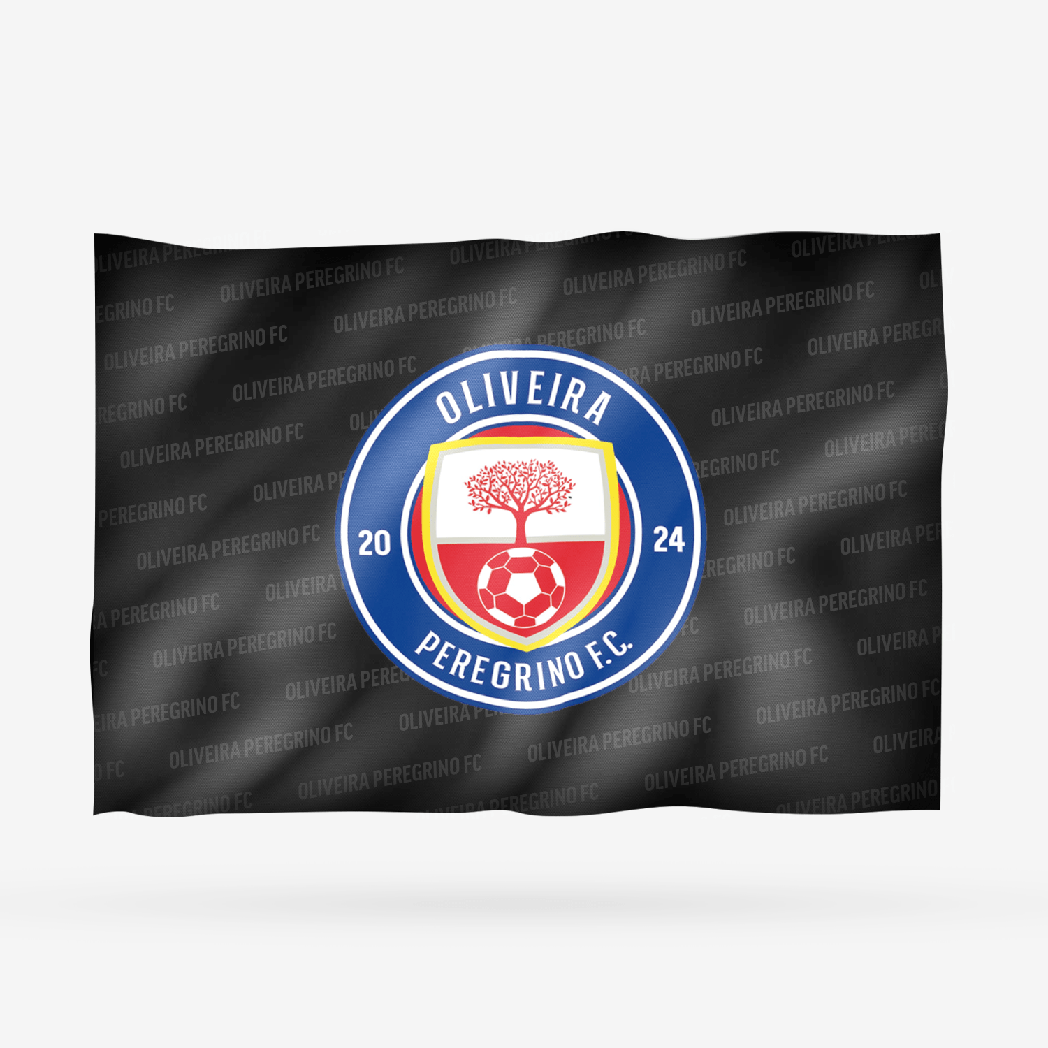 OLIVEIRA PEREGRINO FC 2025 - Imagen 13