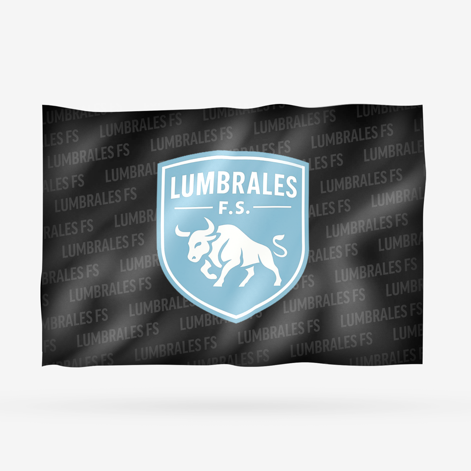LUMBRALES FS ALTERNATIVA - Imagen 9