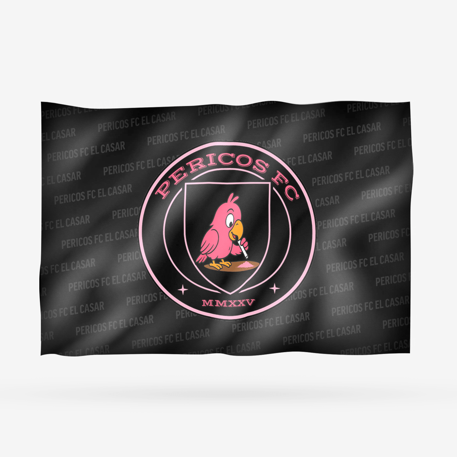 PERICOS FC EL CASAR - Imagen 12