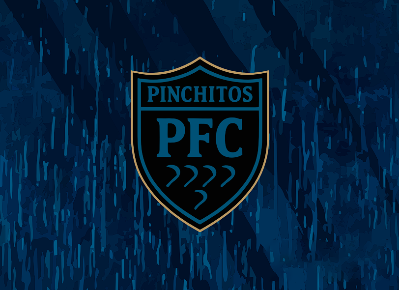 PINCHITOS FC - Imagen 9