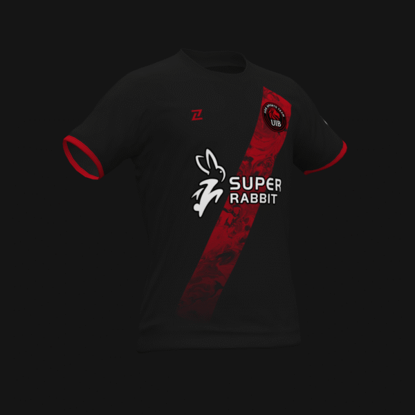 ADE SPORTS TEAM