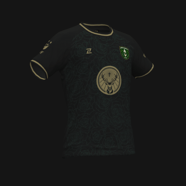 AMBIENTADORES FC