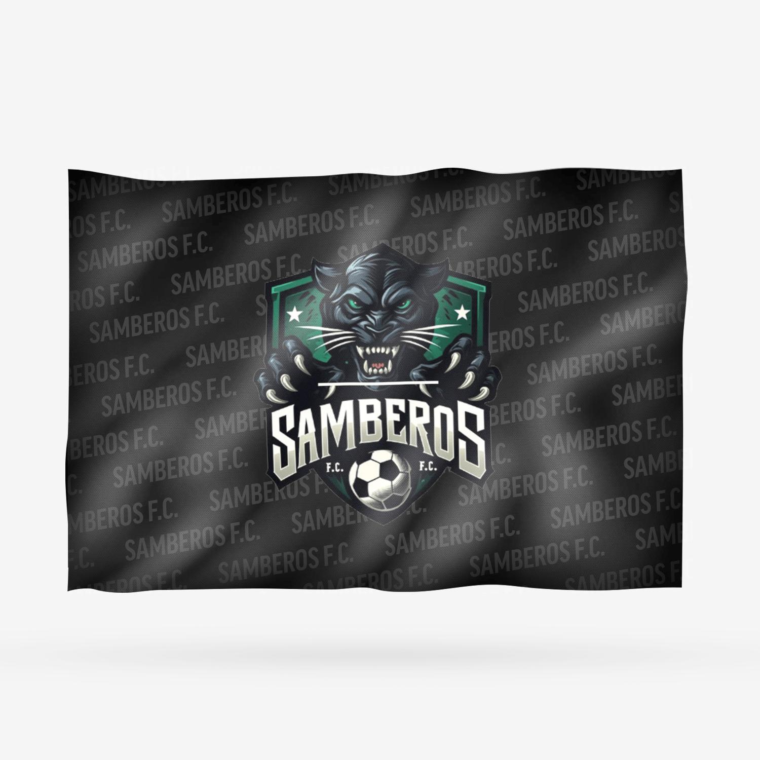SAMBEROS F.C. DORADA - Imagen 16