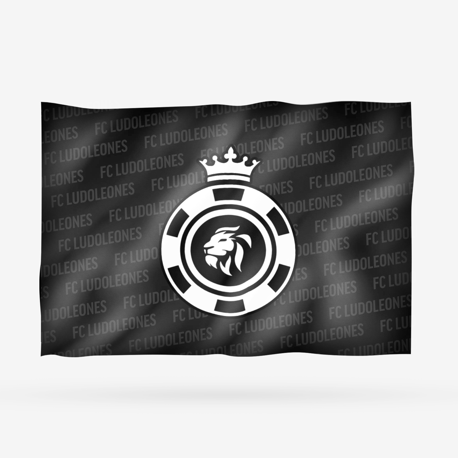 FC LUDOLEONES - Imagen 10