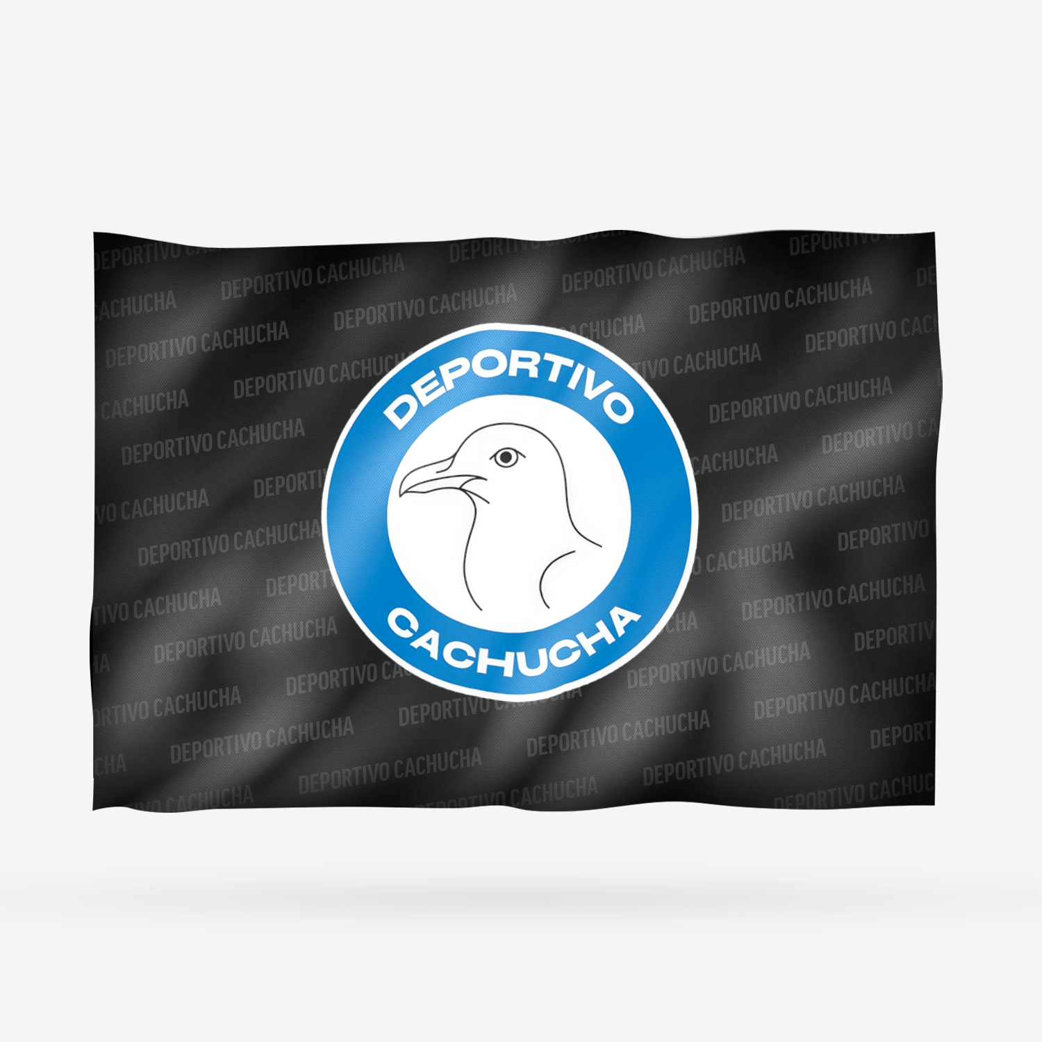 DEPORTIVO CACHUCHA - Imagen 5