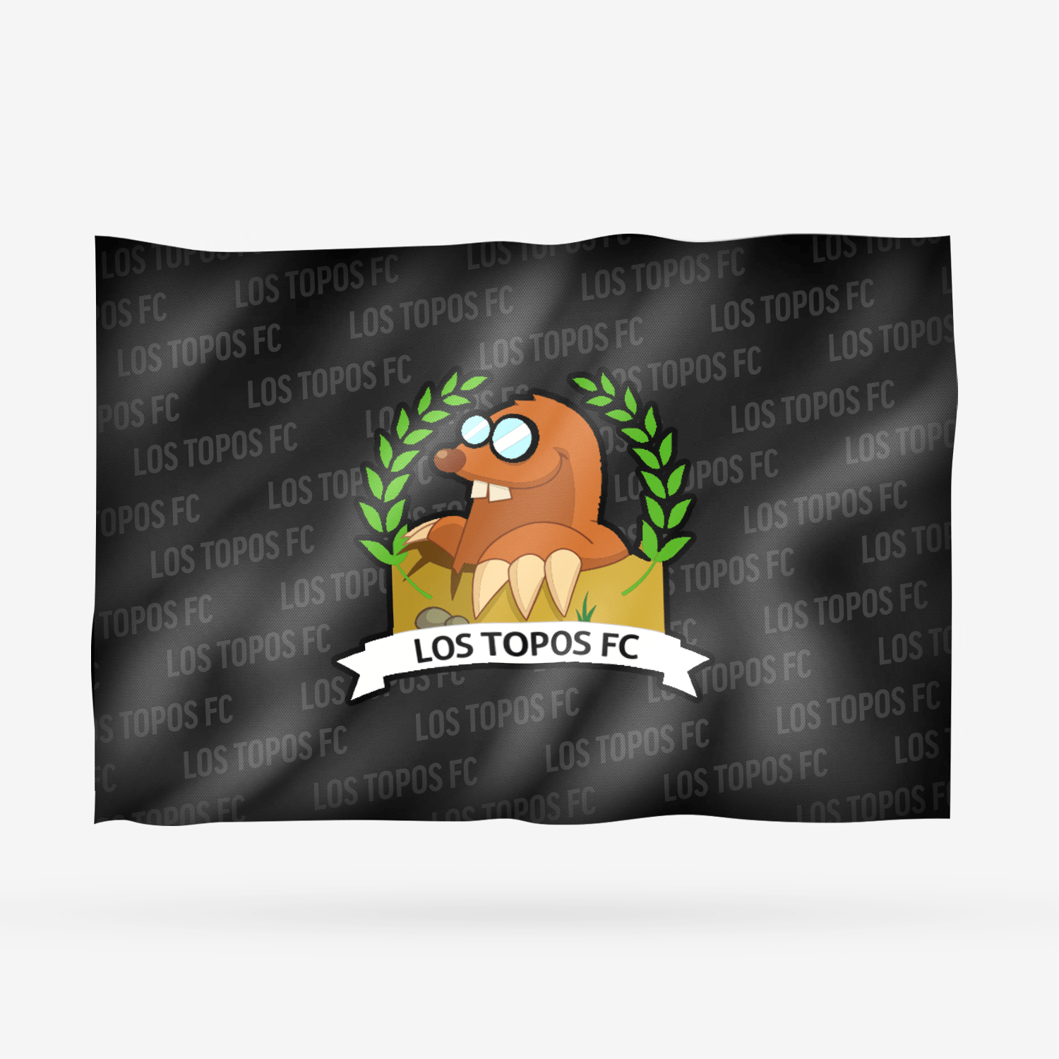 LOS TOPOS FC - Imagen 10