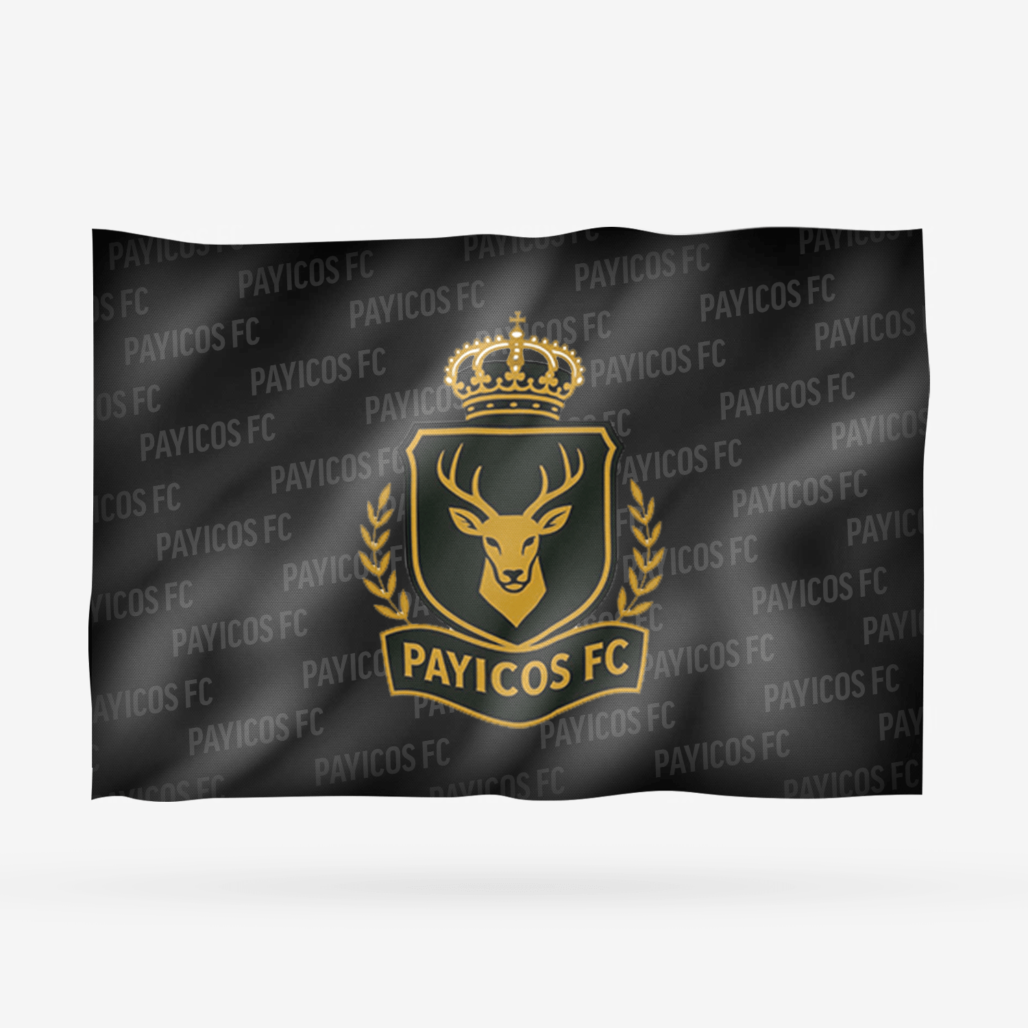 PAYICOS FC - Imagen 8