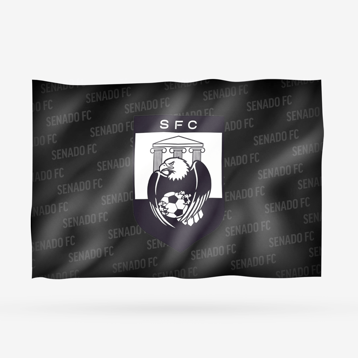SENADO FC - Imagen 13