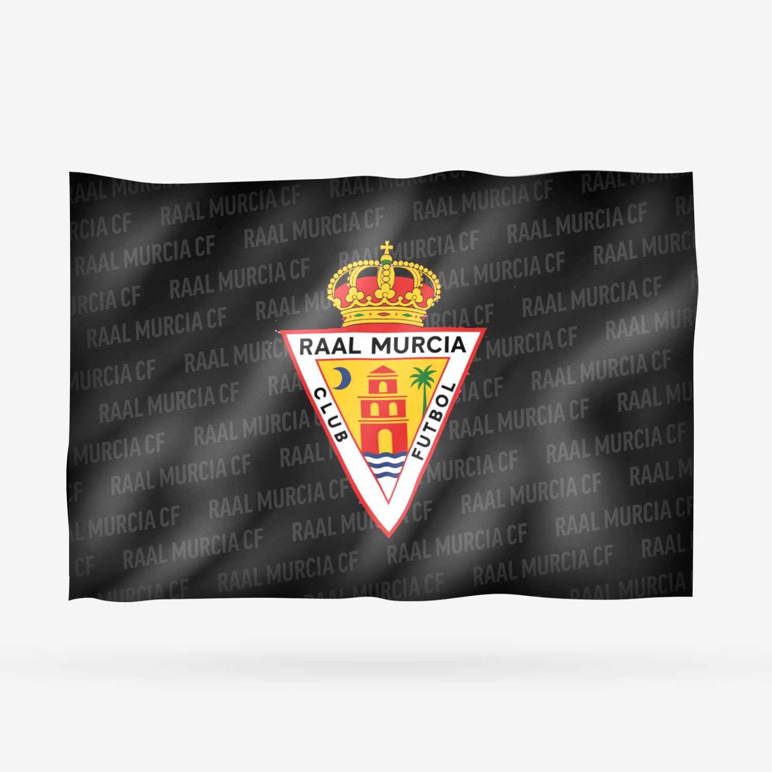 RAAL MURCIA CF ALTERNATIVA - Imagen 13