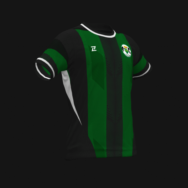 CLUB VOLEIBOL ELS PALLARESOS SEGUNDA