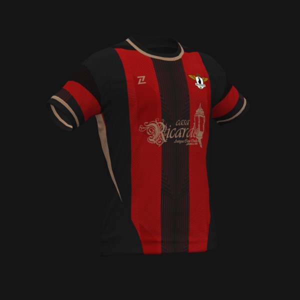 SAN VICENTE FC
