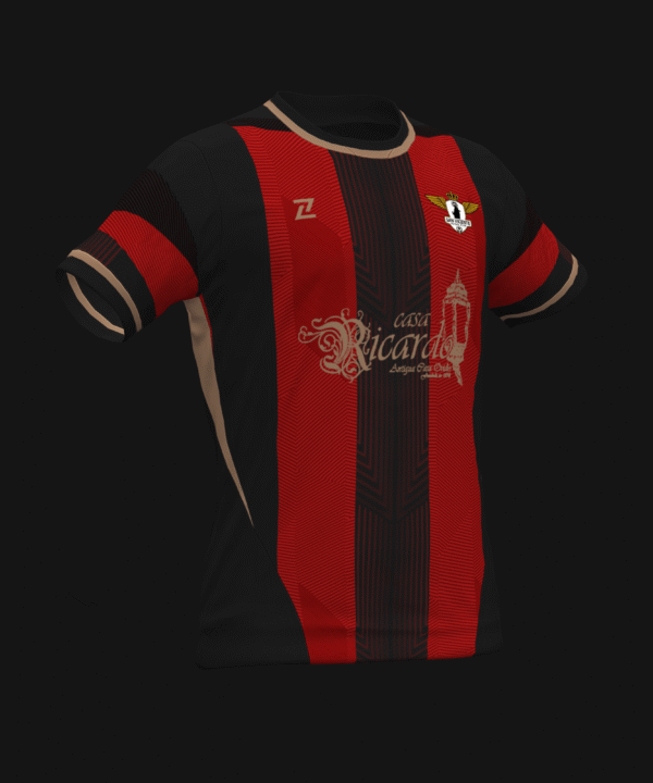 SAN VICENTE FC