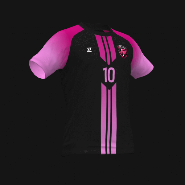 THE LOW COST FC