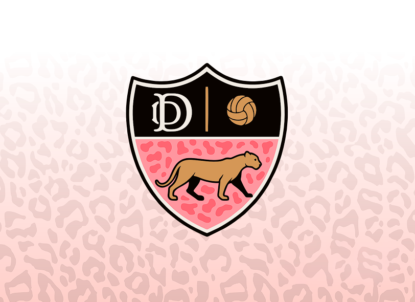 DESUNIÓN DEPORTIVA - Imagen 11