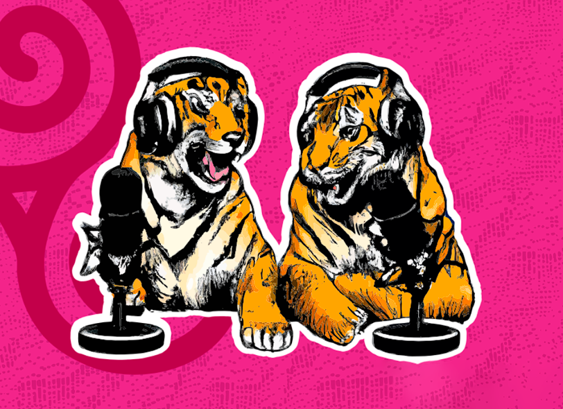 TIGERS FC - Imagen 9