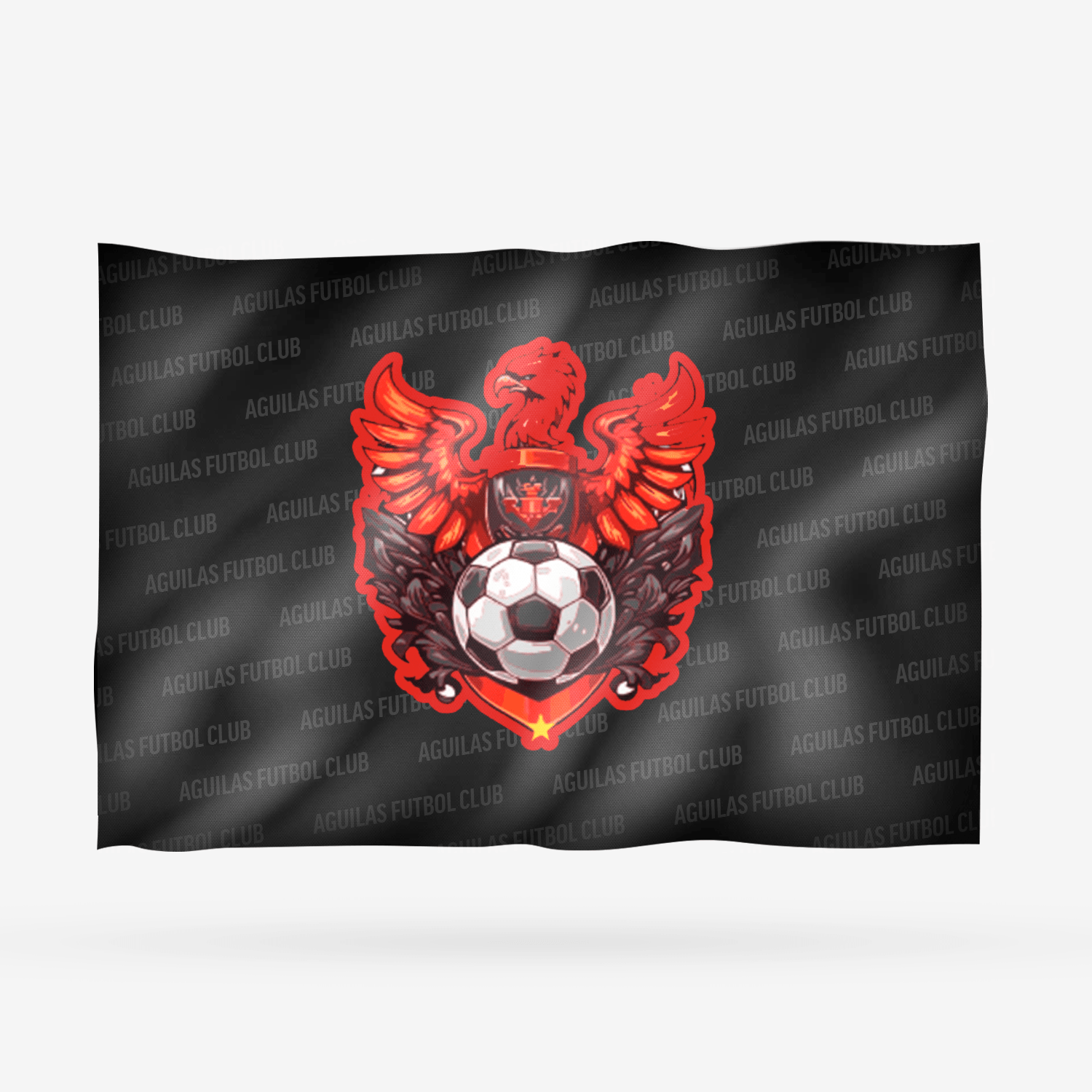 AGUILAS FUTBOL CLUB - Imagen 4