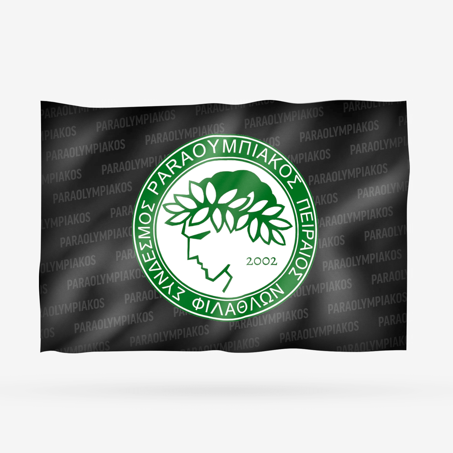 PARAOLYMPIAKOS 2025 - Imagen 5