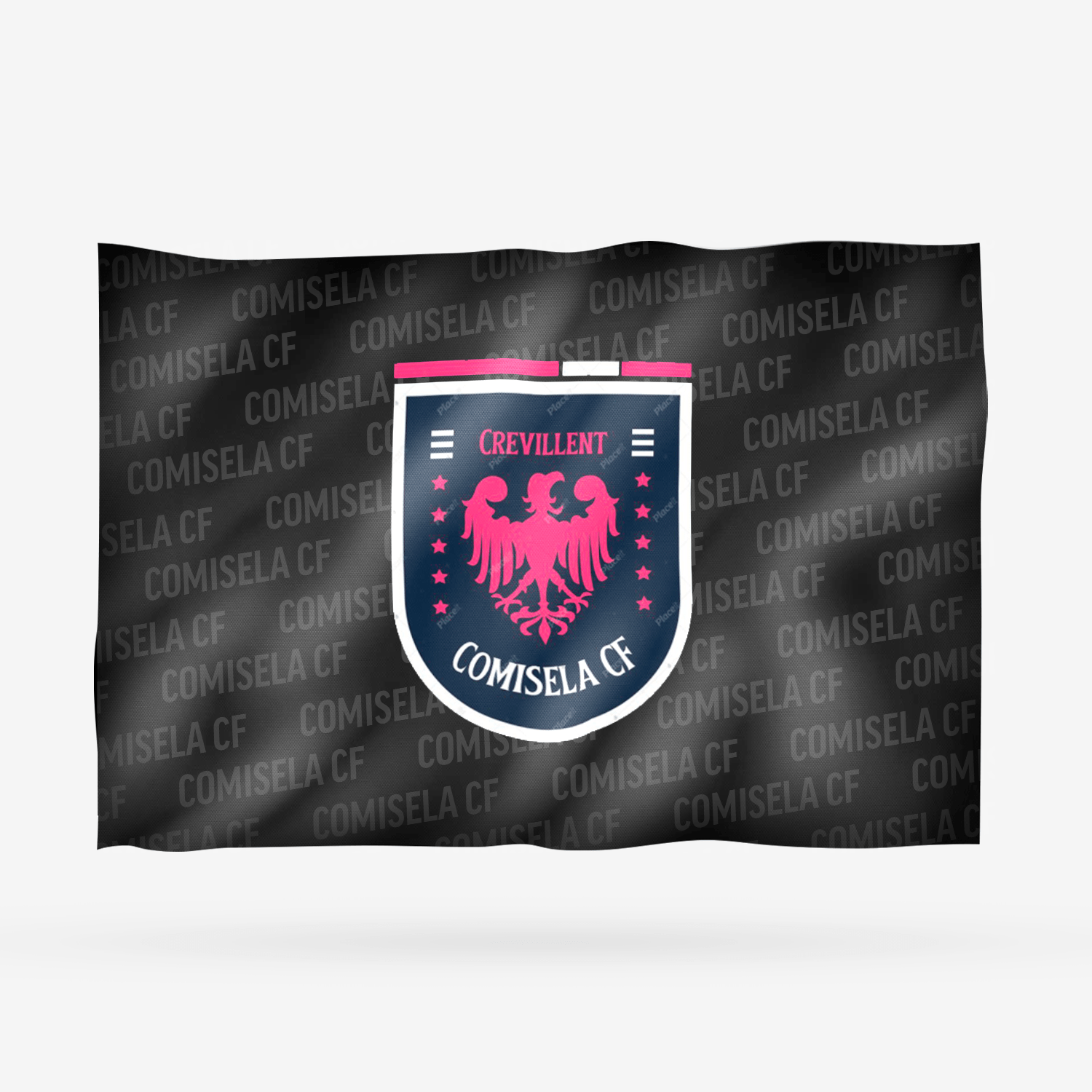 COMISELA CF - Imagen 7