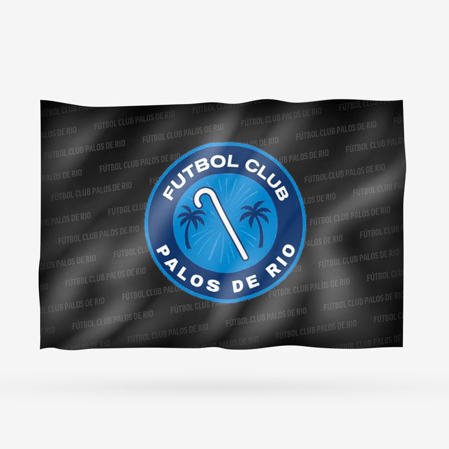 FÚTBOL CLUB PALOS DE RIO - Imagen 12