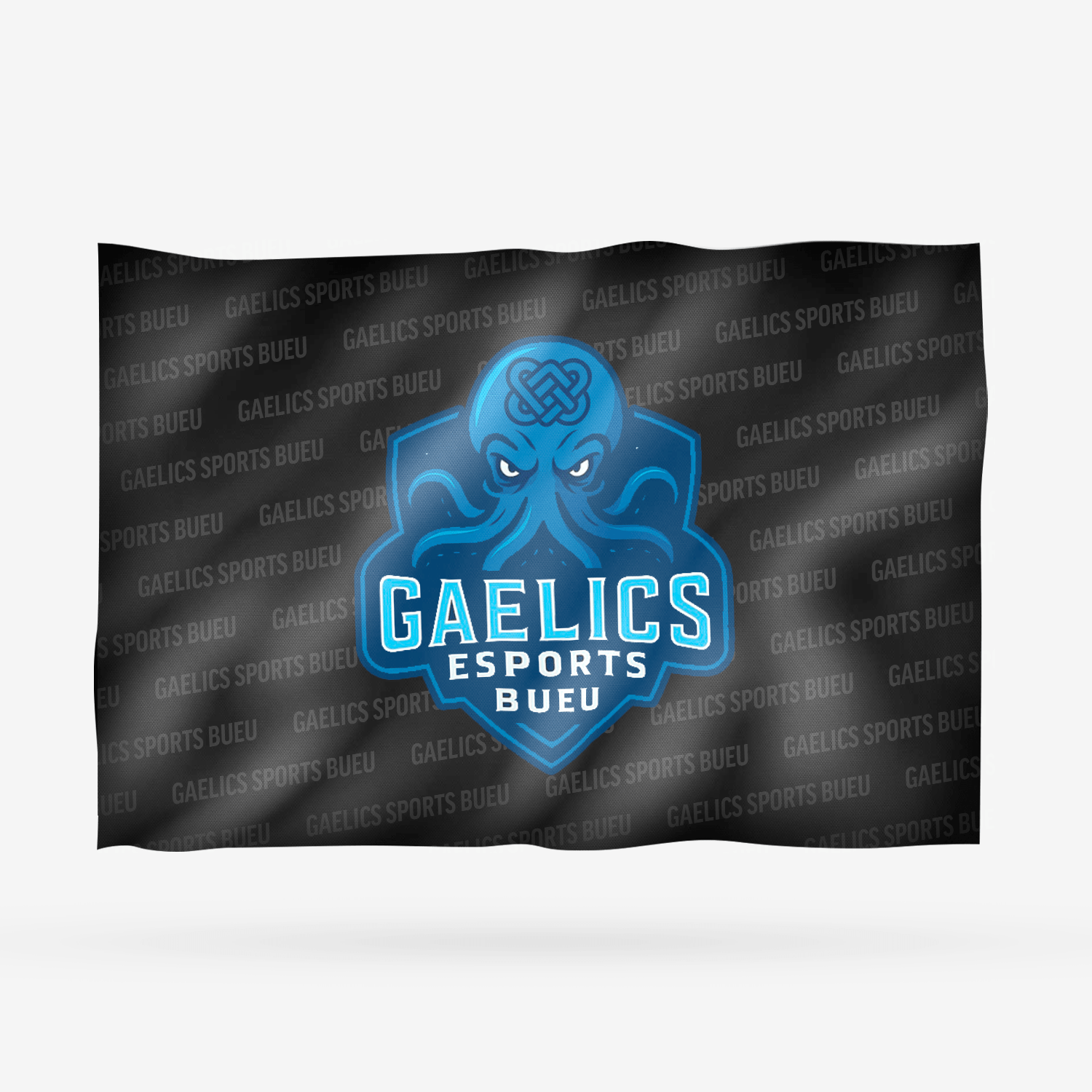 GAELICS SPORTS BUEU - Imagen 7