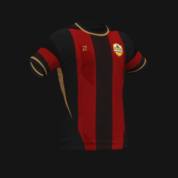 F. C. DESCARTES