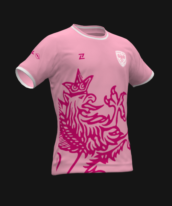 FONDO SUR FC