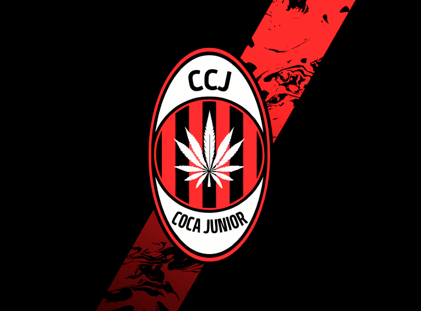 COCA JUNIOR CCJ - Imagen 9