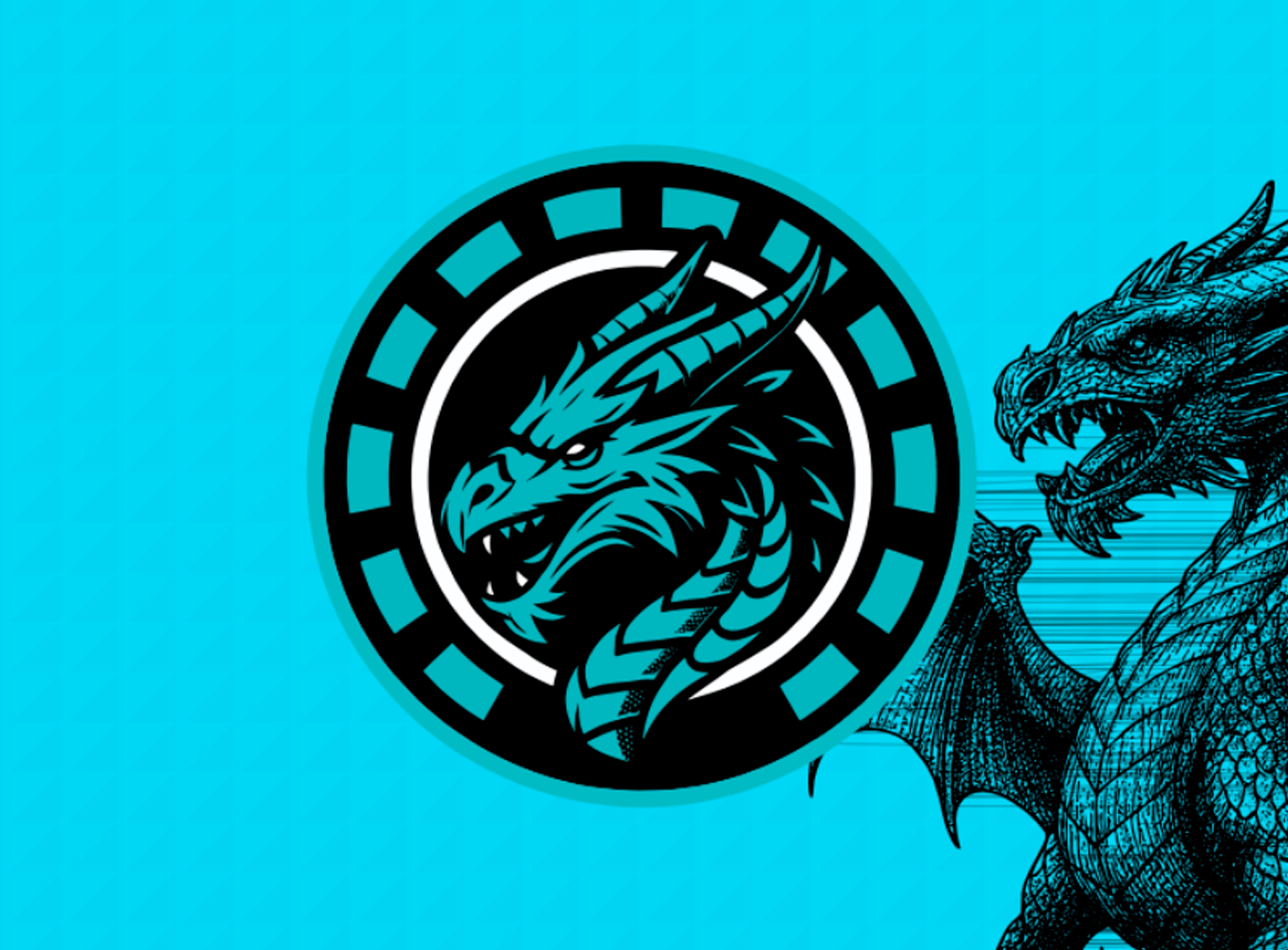 DRAGONES DEL SUR - Imagen 9