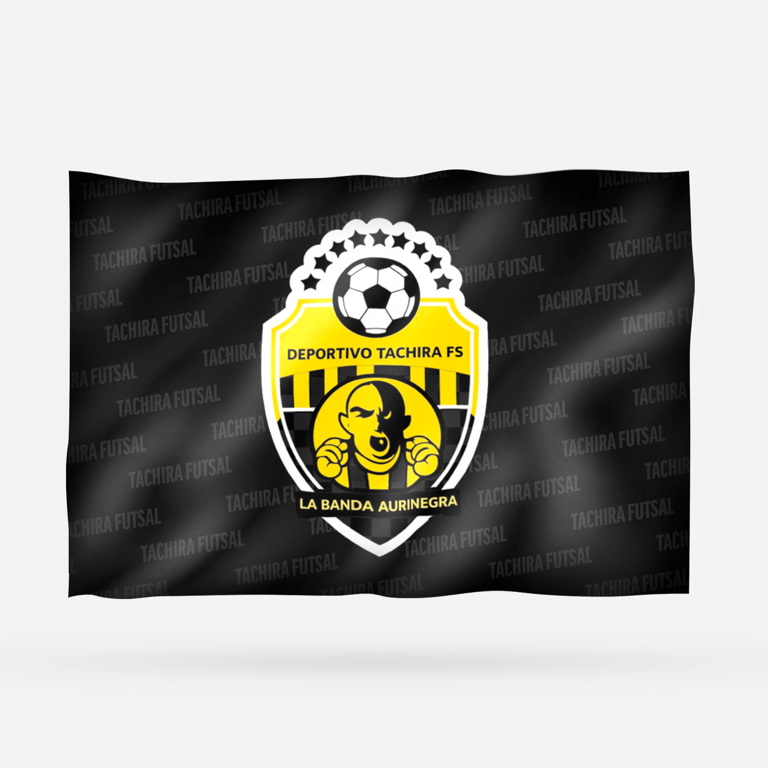 TACHIRA FUTSAL - Imagen 4
