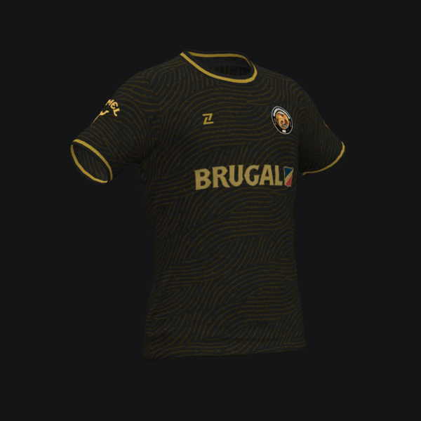 CHORYPANEROS FC