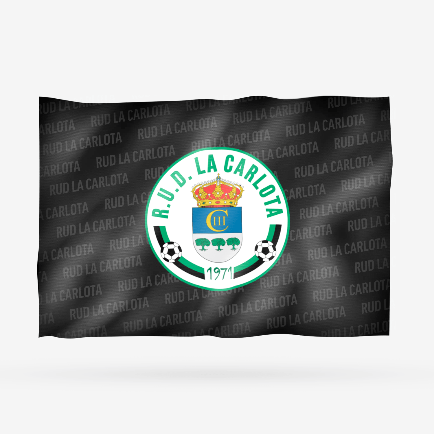 RUD LA CARLOTA SEGUNDA - Imagen 8