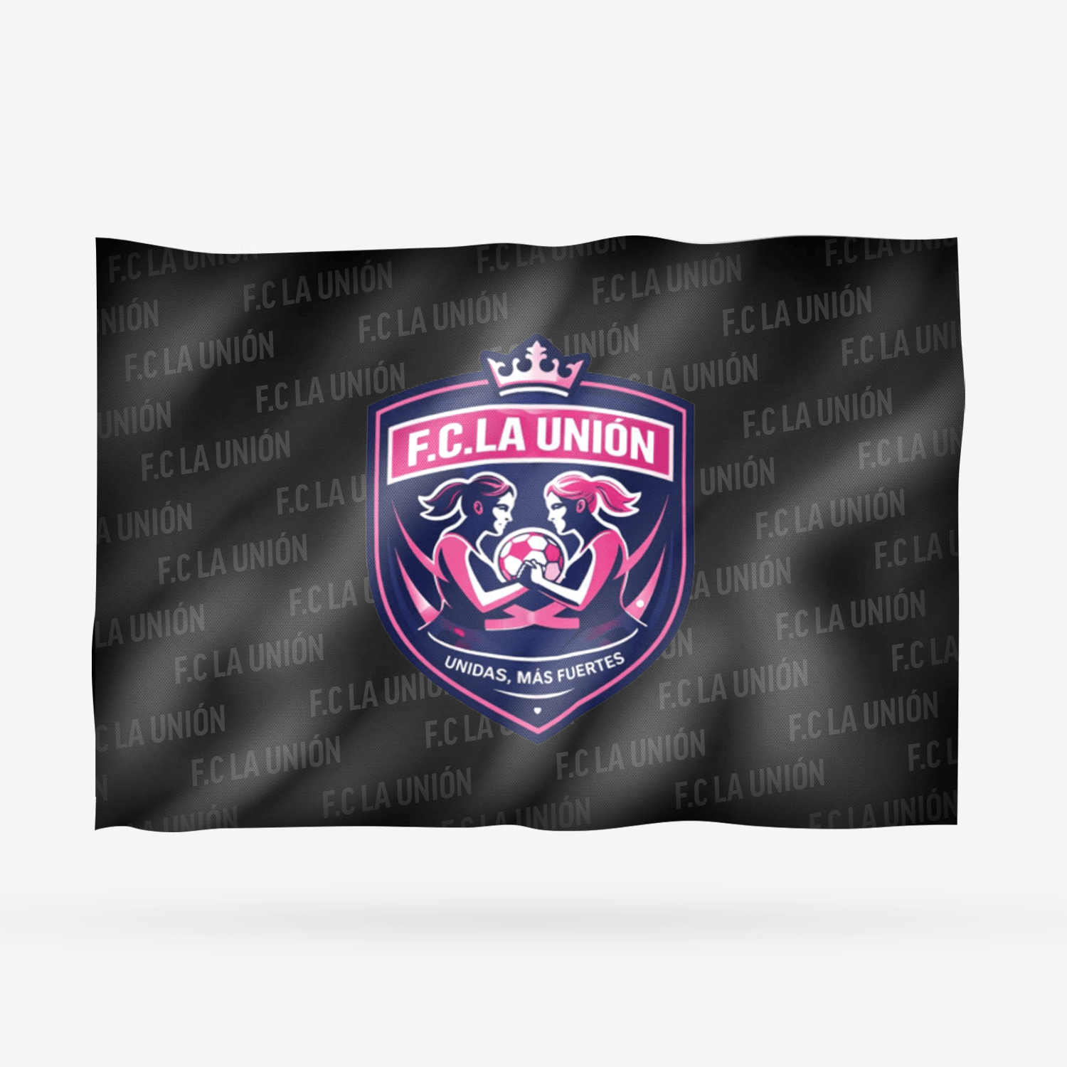 F.C LA UNIÓN - Imagen 7