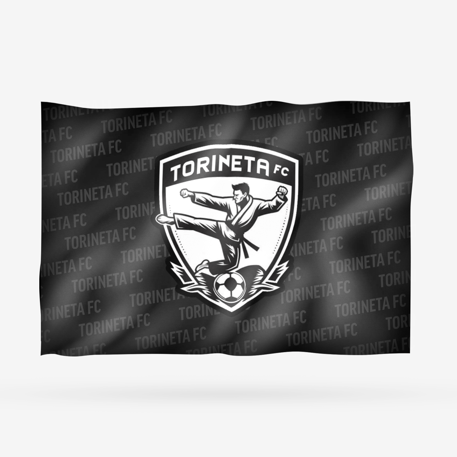 TORINETA FC - Imagen 7