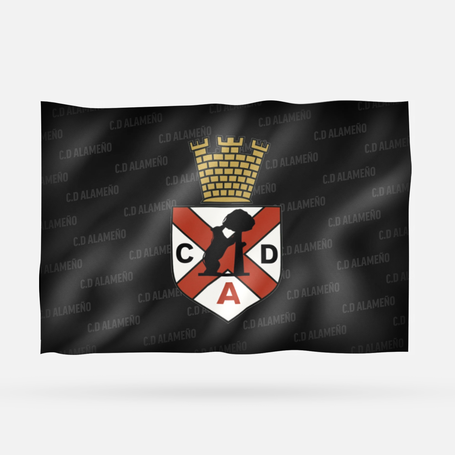 C.D ALAMEÑO - Imagen 8