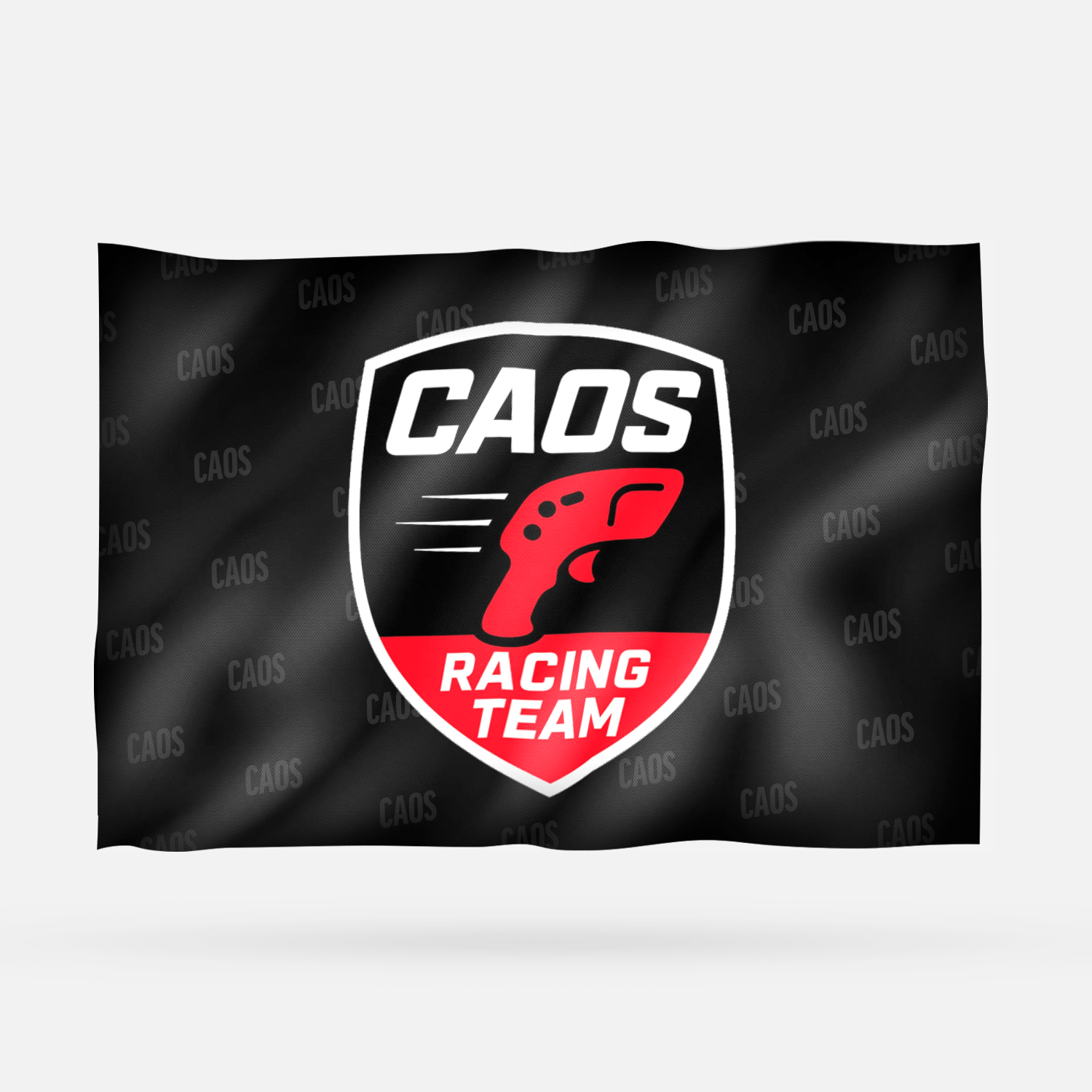 CAOS RACING TEAM - Imagen 4