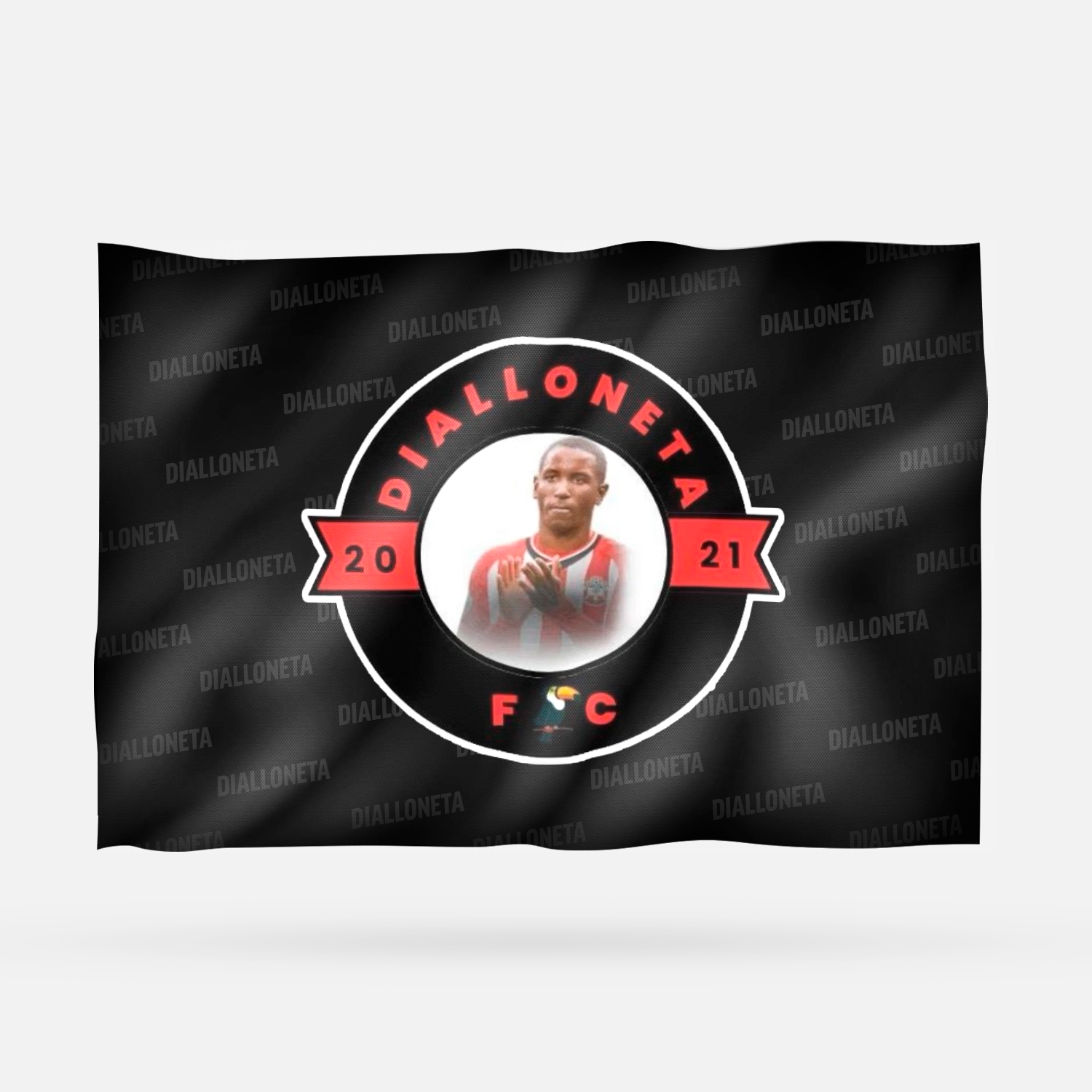 DIALLONETA - Imagen 5