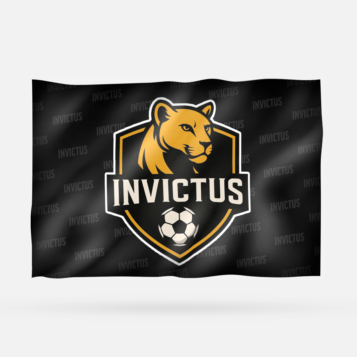 INVICTUS 2026 - Imagen 4